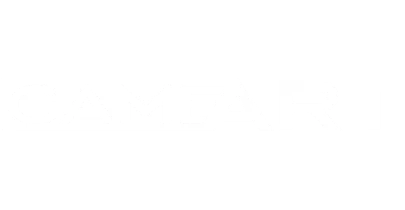 भागीदार जो 55club के साथ काम करते हैं