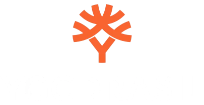 partners who work with 55club